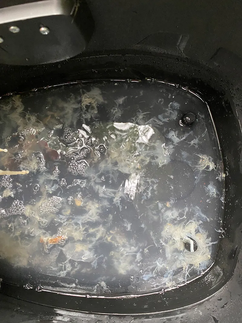 Gulf Humidity & Your AC Drain Line